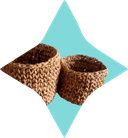 Capacity Building Workshops